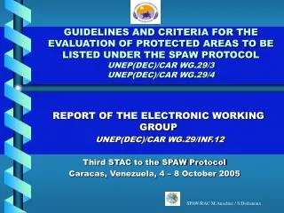 REPORT OF THE ELECTRONIC WORKING GROUP UNEP(DEC)/CAR WG.29/INF.12
