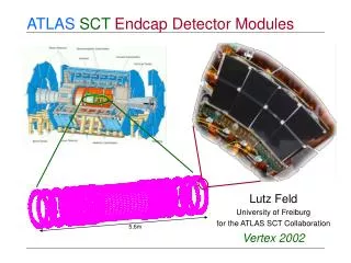 ATLAS SCT Endcap Detector Modules