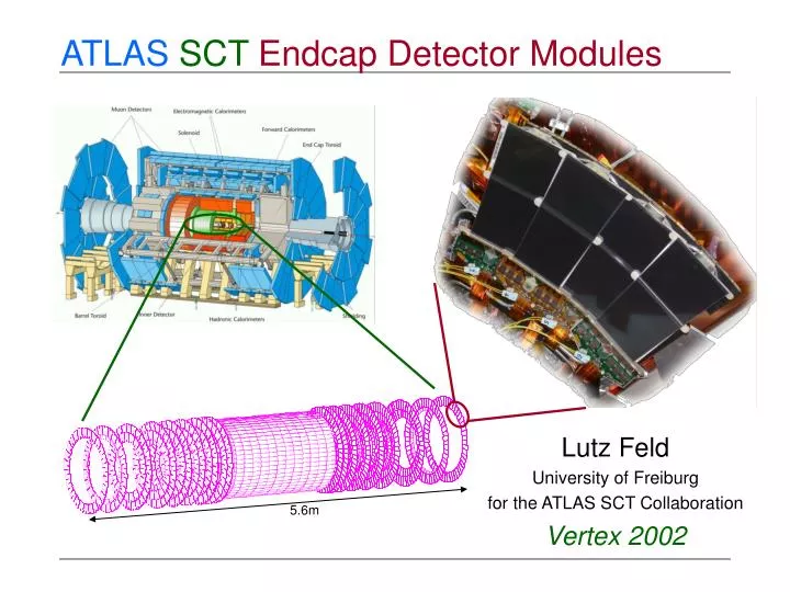 atlas sct endcap detector modules