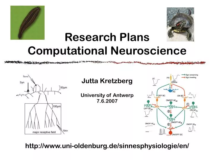 research plans computational neuroscience
