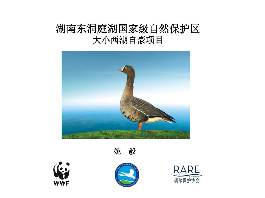 湖南东洞庭湖国家级自然保护区 大小西湖自豪项目 - slide 1