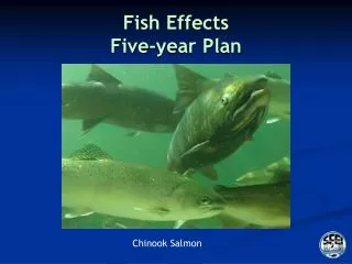 Fish Effects Five-year Plan