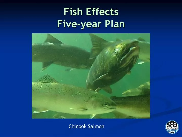fish effects five year plan