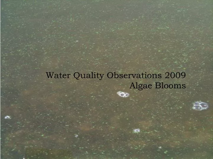 water quality observations 2009 algae blooms