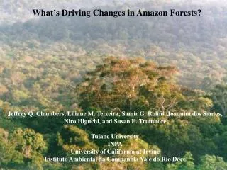 What’s Driving Changes in Amazon Forests?