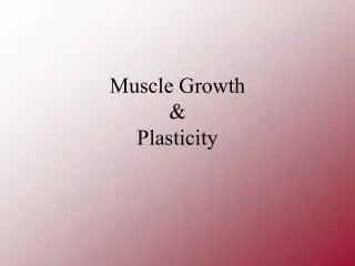 Muscle Growth &amp; Plasticity