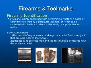 Firearms &amp; Toolmarks