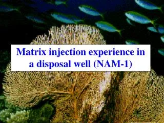 Matrix injection experience in a disposal well (NAM-1)