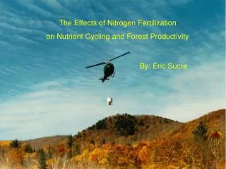 The Effects of Nitrogen Fertilization on Nutrient Cycling and Forest Productivity