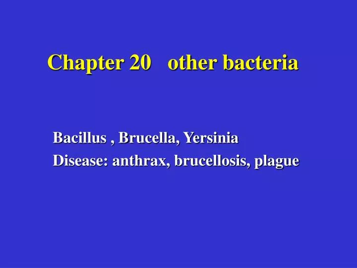 chapter 20 other bacteria