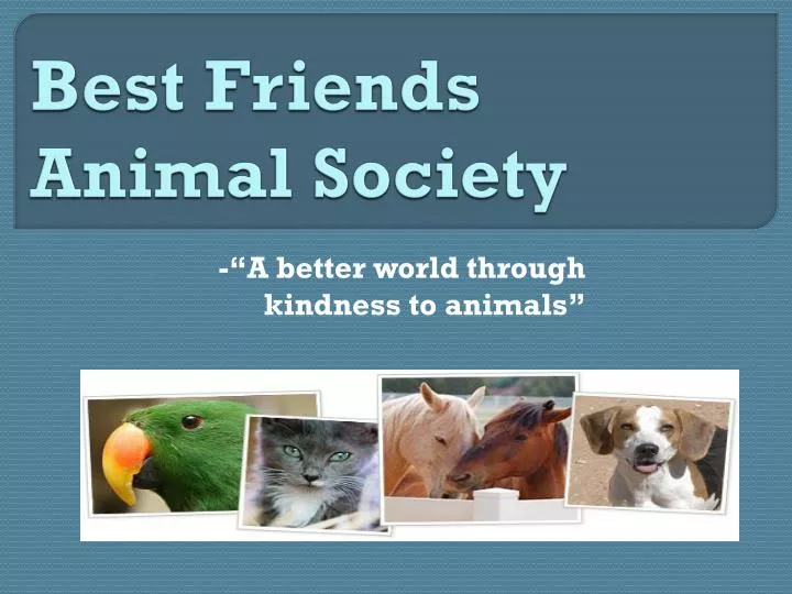 best friends animal society