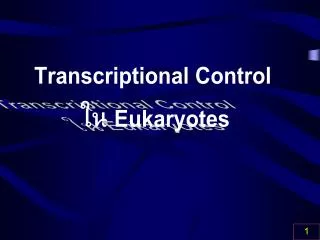 Transcriptional Control ใน Eukaryotes