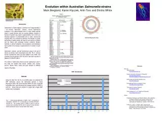 Evolution within Australian Salmonella strains