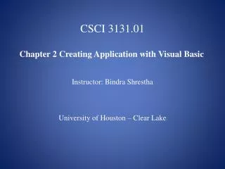 CSCI 3131.01 Chapter 2 Creating Application with Visual Basic Instructor: Bindra Shrestha