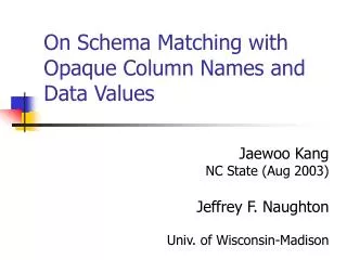 On Schema Matching with Opaque Column Names and Data Values