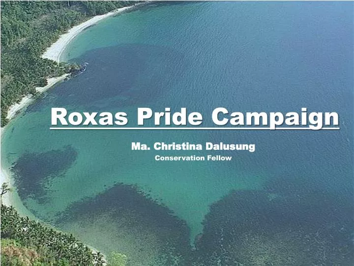 roxas pride campaign