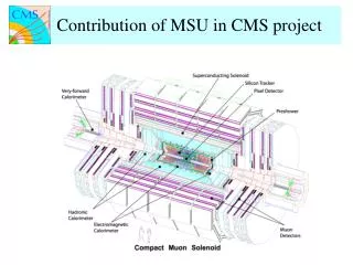 Preparations for CMS Heavy Ion Physics Program