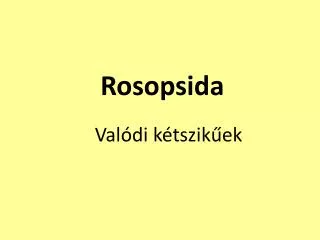 Rosopsida