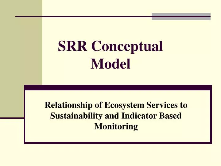 srr conceptual model