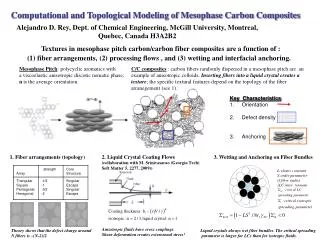 Computational and Topological Modeling of Mesophase Carbon Composites