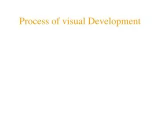 Process of visual Development