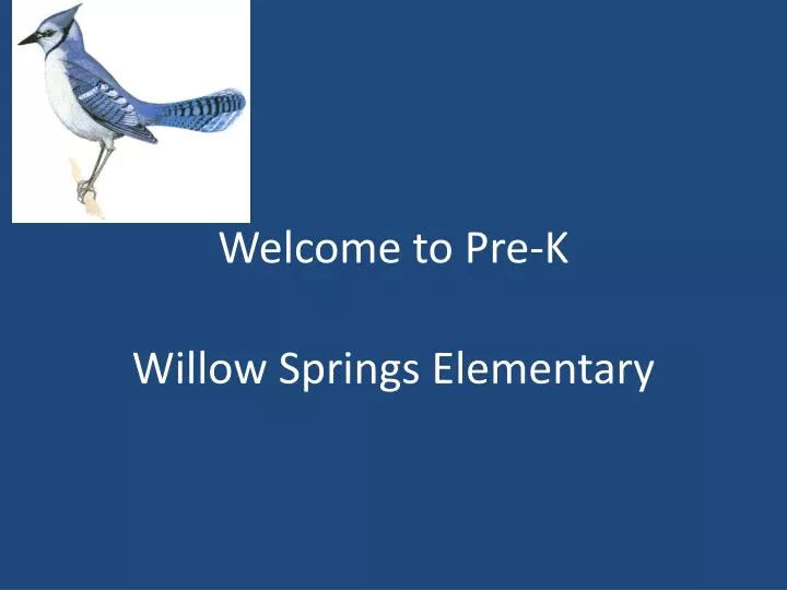welcome to pre k