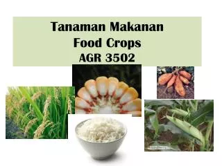Tanaman Makanan Food Crops AGR 3502