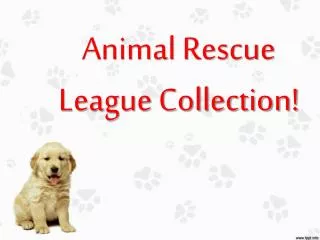 Animal Rescue League Collection!