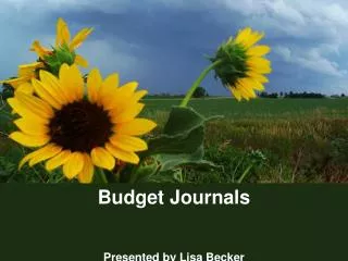 Budget Journals Presented by Lisa Becker