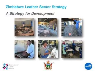 Zimbabwe Leather Sector Strategy A Strategy for Development