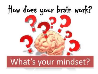 How does your brain work?