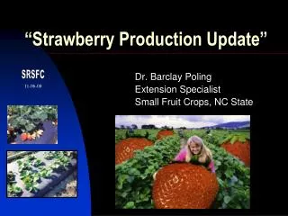 “Strawberry Production Update”