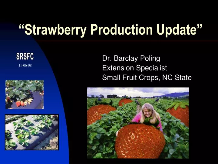 strawberry production update