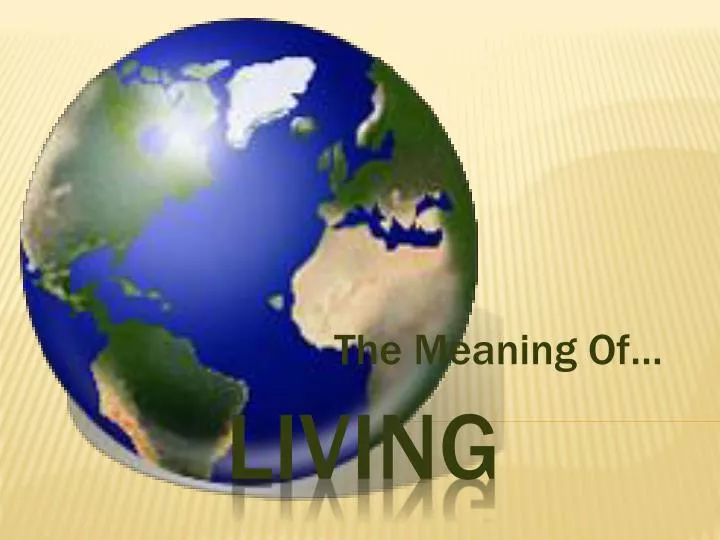 the meaning of