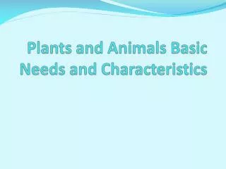Plants and Animals Basic Needs and Characteristics