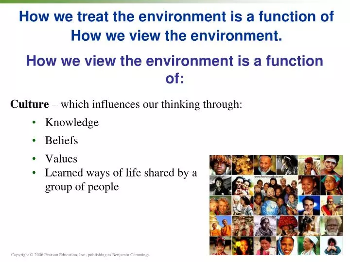 how we treat the environment is a function of how we view the environment