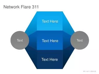 Network Flare 311