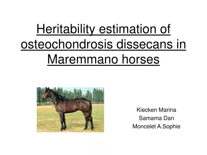 heritability estimation of osteochondrosis dissecans in maremmano horses