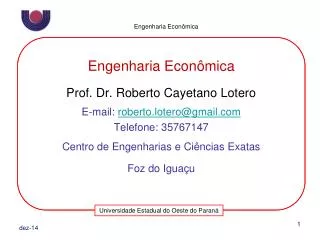 Engenharia Econômica Prof. Dr. Roberto Cayetano Lotero E-mail: roberto.lotero@gmail