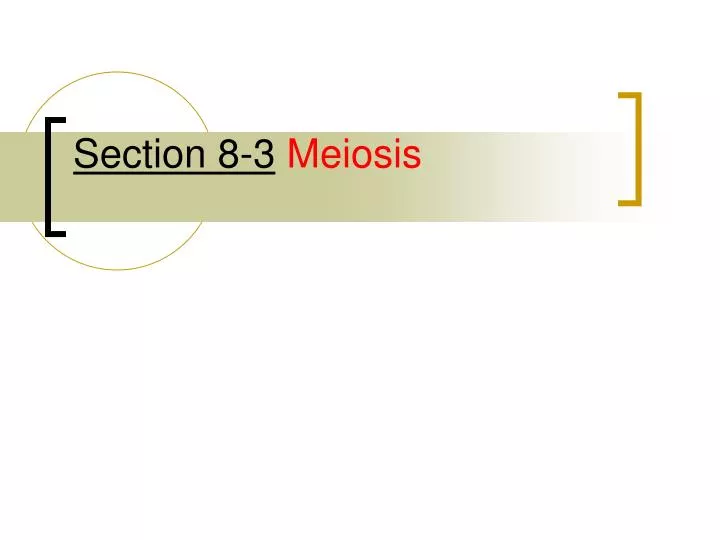 section 8 3 meiosis
