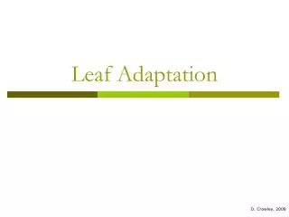 Leaf Adaptation