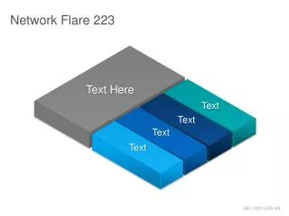 Network Flare 223