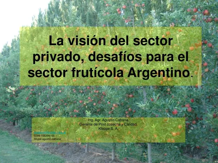 la visi n del sector privado desaf os para el sector frut cola argentino