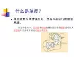 什么是单反？ - slide 1