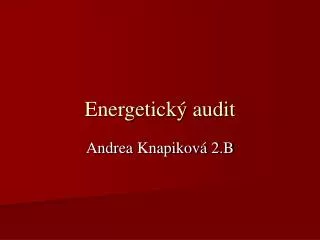 Energetický audit
