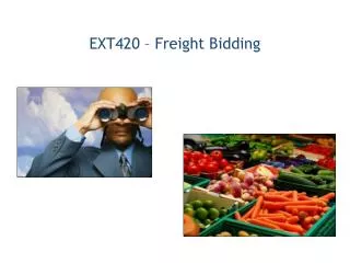 EXT420 – Freight Bidding