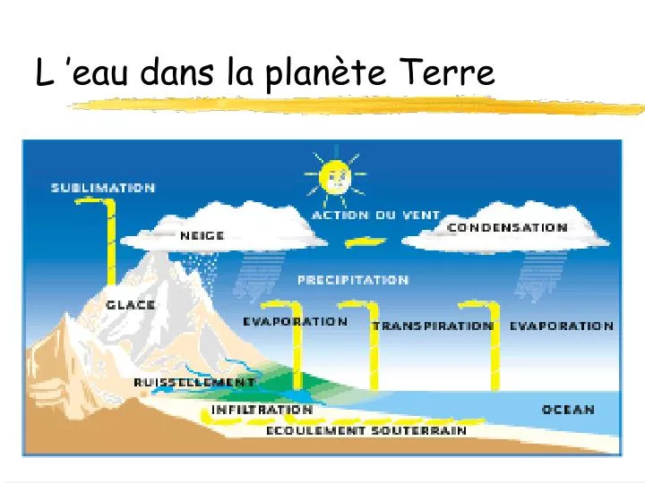 l eau dans la plan te terre