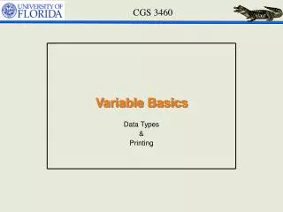 Variable Basics