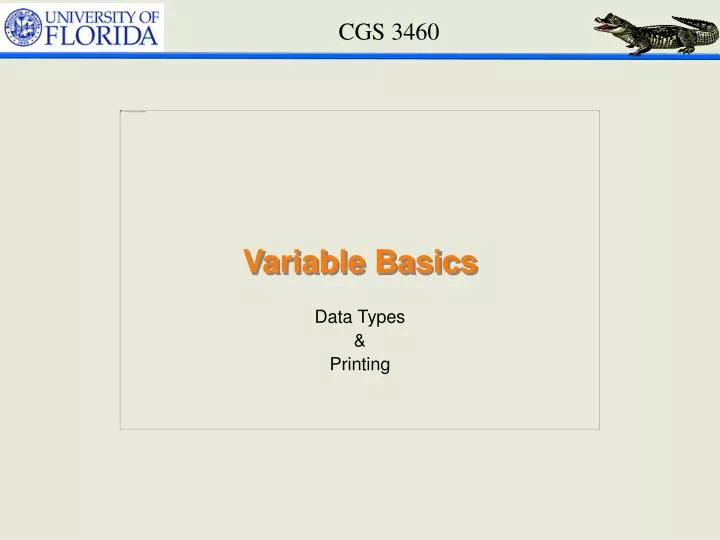 variable basics