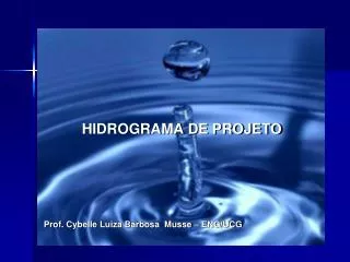 HIDROGRAMA DE PROJETO